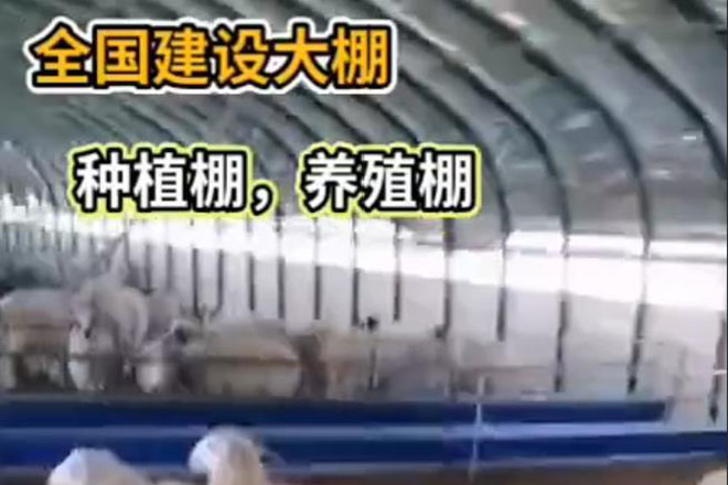 全國建設(shè)大棚（種植棚，養(yǎng)殖棚）